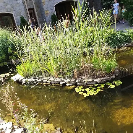 Dream Cascadas -